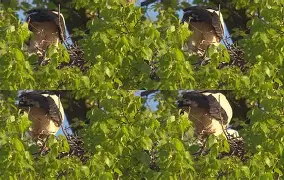 LOL投注平台 -?'顆?蘠t?;U慴?wX鹳??m梛愨2ⅴkX?	牰銫Yc	惸~的简单介绍