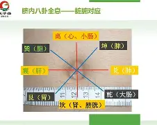 LOL直播入口 -鲁baj1868